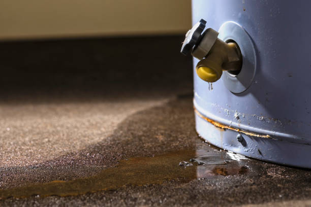 Best Emergency water damage restoration  in Gladeview, FL