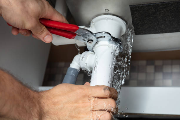  Gladeview, FL Water damage restoration Pros