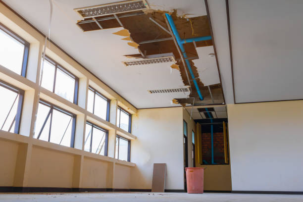 Best Water damage repair service  in Gladeview, FL