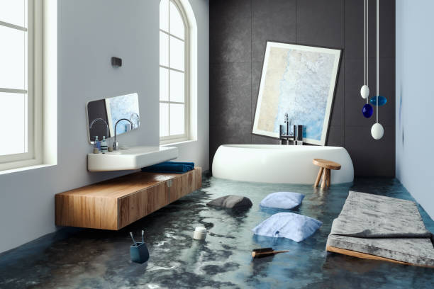 Best Professional water damage repair  in Gladeview, FL