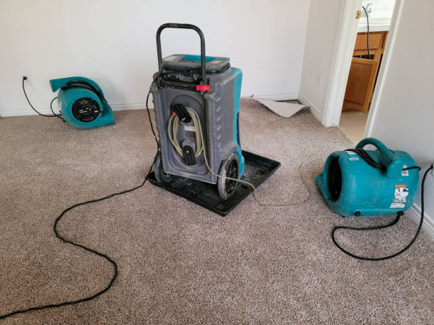 Best Flood damage cleanup  in Gladeview, FL