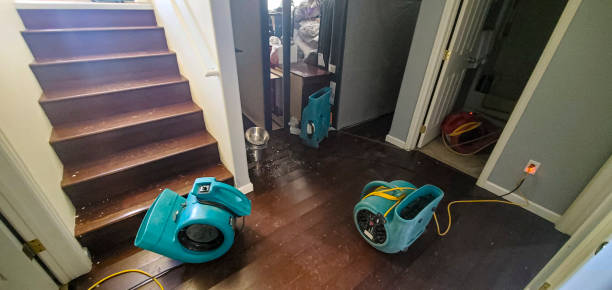 Best 24-hour water damage restoration  in Gladeview, FL