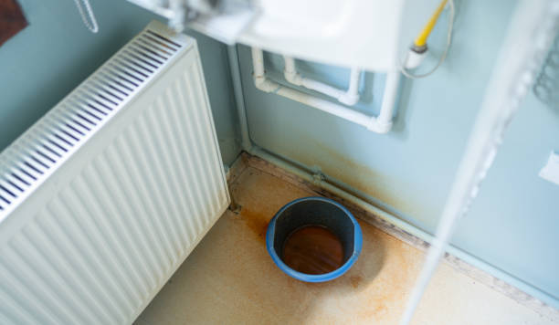Best 24/7 water damage repair  in Gladeview, FL