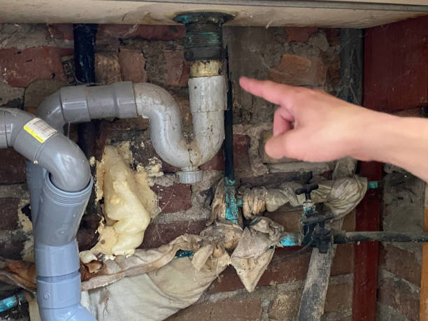 Best Water damage restoration company  in Gladeview, FL