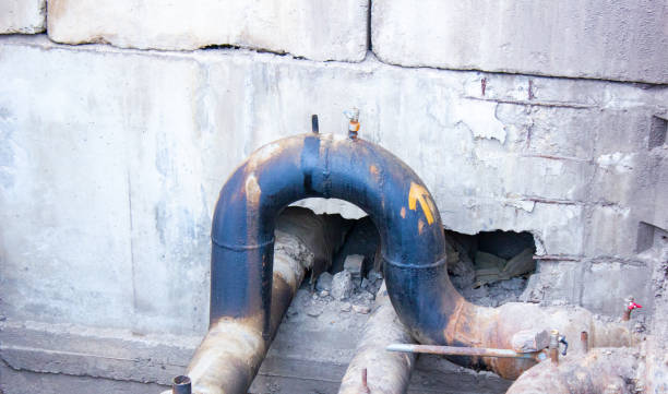 Best Sewage cleanup and water damage restoration  in Gladeview, FL