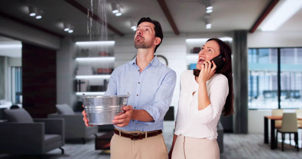 Best Flood damage cleanup  in Gladeview, FL